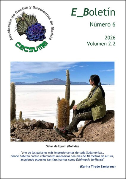 Número 6 /Vol: 2 Num: 2